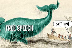 whale