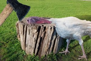 chopping block