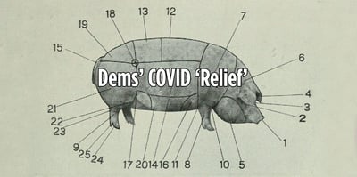 pig