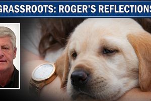 roger