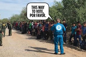 vote