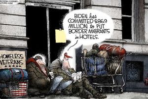 vets
