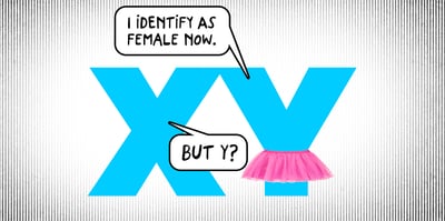 XY