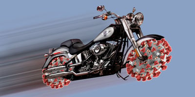 sturgis