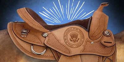 saddle