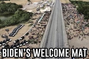 the walking dead