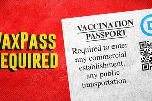 vaxpass dem