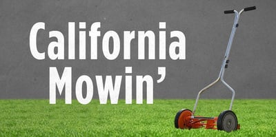 mowin