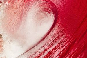 wave