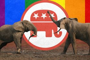 elephants