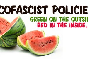 eco
