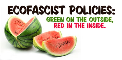 eco