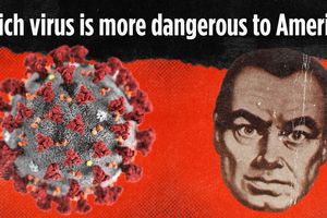virus