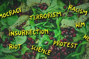 salad