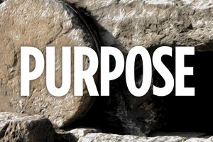 purpose