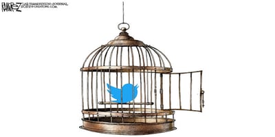 twitter