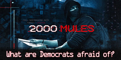mules3