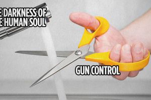 gun control