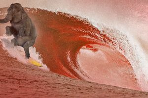 red wave
