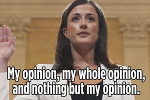 opinion