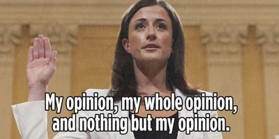 opinion