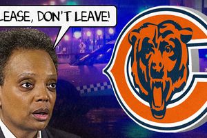 bears