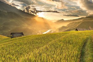 agriculture