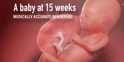 2022 9 15 15 week baby