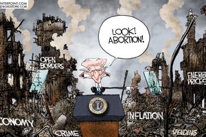 2022 10 26 cartoon biden abortion