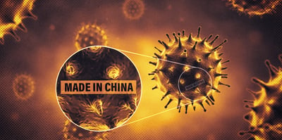 2022 10 31 virus wuhan