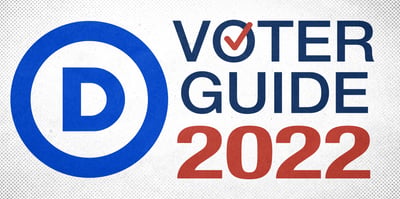 2022 11 2 voter guide