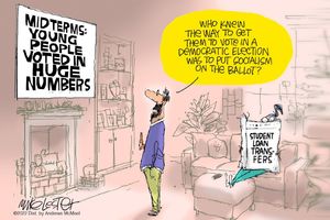 2022 11 15 cartoon vote socialism