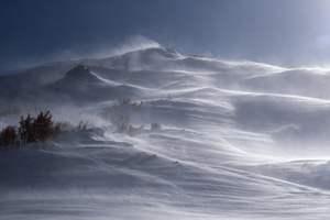 blizzard
