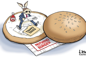 taxes