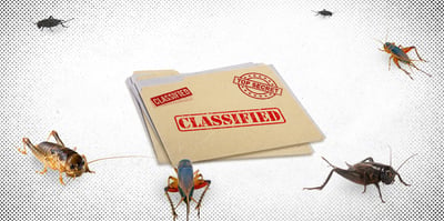 2023 1 12 classified docs crickets