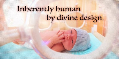 2023 1 12 babies