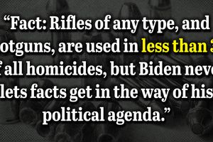 2023 1 25 3 percent guns