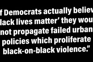 2023 2 8 blm democrats policies