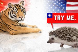 2023 2 27 taiwan hedgehog