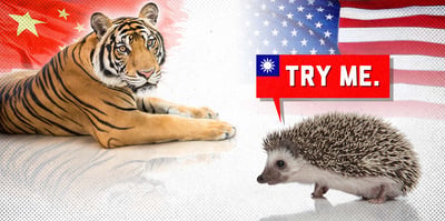 2023 2 27 taiwan hedgehog