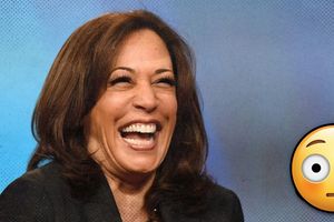 2023 5 8 kamala ai czar