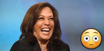 2023 5 8 kamala ai czar