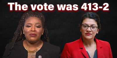 2023 5 18 vote tlaib bush
