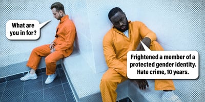 2023 6 29 michigan hate crimes