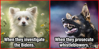 2023 7 12 investigate bidens vs whistleblowers