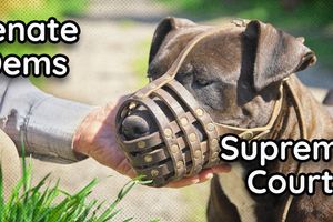 2023 7 18 dems muzzle court
