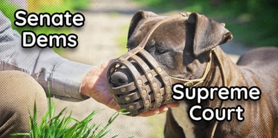 2023 7 18 dems muzzle court