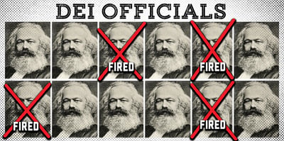 2023 7 24 dei fired