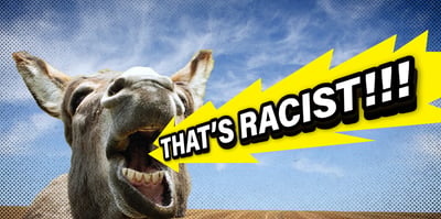 2023 8 31 racism donkey