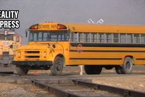 2023 9 12 reality vs school bus